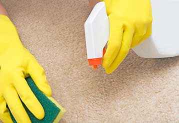 First Aid for Carpet Stains | Hacienda Heights, CA