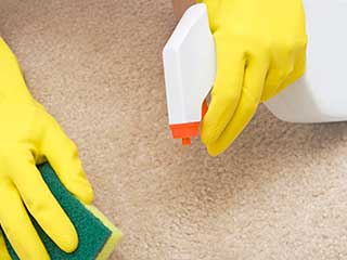 First Aid for Carpet Stains | Hacienda Heights Carpet Cleaning