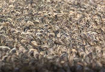 Dry Cleaners That Clean Area Rugs Near Me, Industry